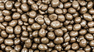 NGO links major chocolate brands to Liberia deforestation