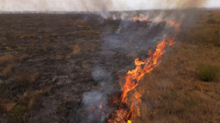 O que se sabe sobre a onda de inc&ecirc;ndios no Brasil