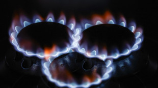 Il prezzo del gas in calo a 85,46 euro al megawattora