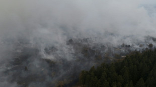 La Belgique mobilis&eacute;e face &agrave; un incendie historique