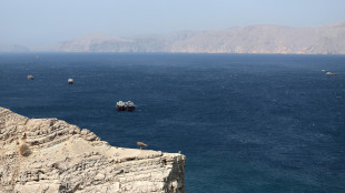 Emirati, affondato rimorchiatore a Hormuz 3 marinai dispersi