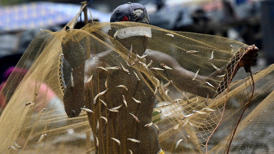 Abondance de poissons mais p&ecirc;che impossible au Sri Lanka faute de carburant