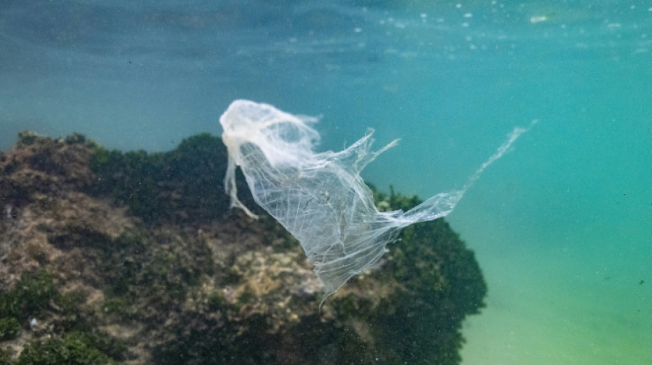 Le monde doit d'urgence s'attaquer &agrave; la pollution plastique marine, alerte le WWF