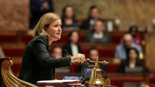 L'examen du budget de l'Etat reprend &agrave; l'Assembl&eacute;e, la niche fiscale des retrait&eacute;s dans le viseur