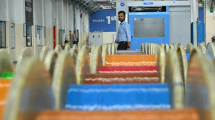 A d&eacute;faut de puces ou de mod&egrave;les, l'Inde se lance dans la "quincaillerie" de l'IA