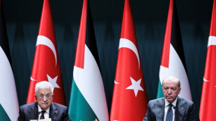 Erdogan afirma que Israel pretende "borrar a Palestina de la agenda de la humanidad"
